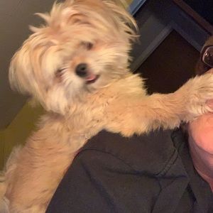 Meet your Posher, Donna